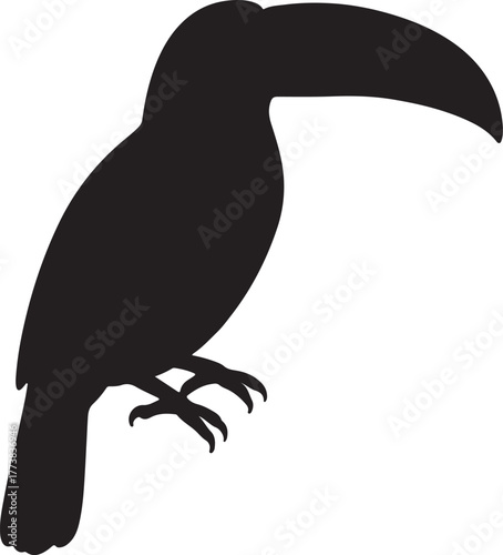 Silhouette toucan animal transparent