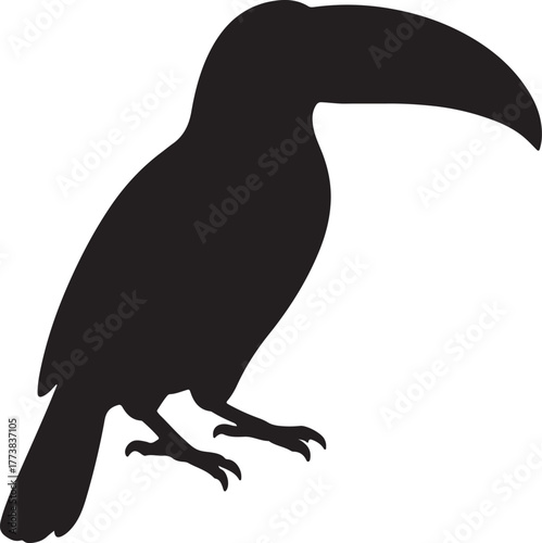 Silhouette toucan animal transparent