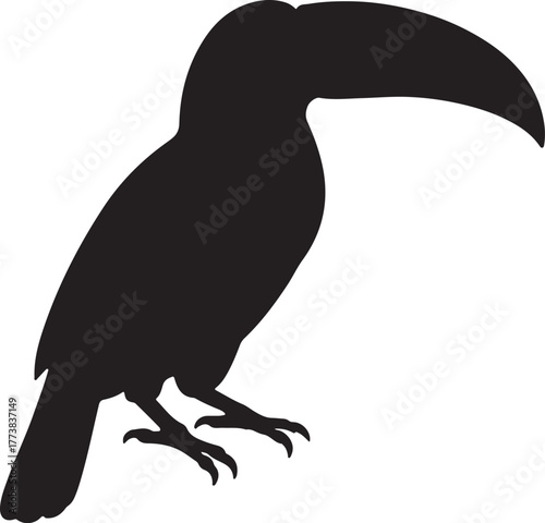 Silhouette toucan animal transparent