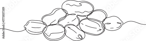 Elegant One-Line Drawing of Freshly Roasted Peanuts, Perfect for