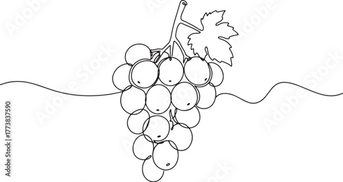 Elegant single line drawing of fresh grapes, a minimalist culina