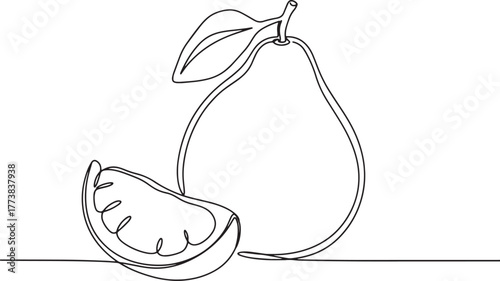 Elegant Pomelo Continuous Line Drawing: A Fresh and Minimalist F