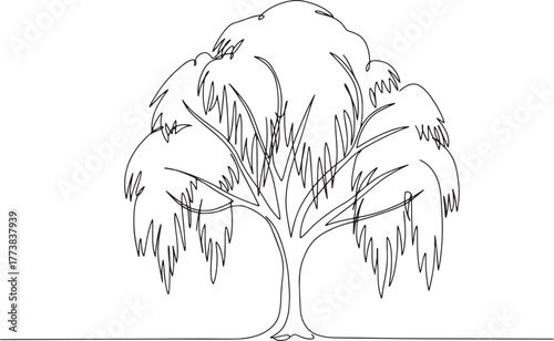 Single continuous line drawing of weeping willow tree in minimal