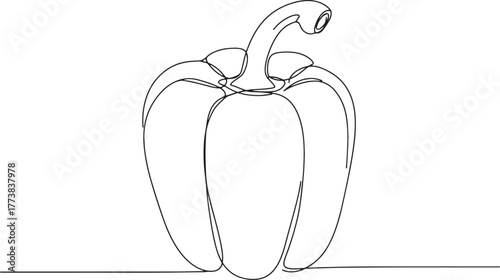 Elegant minimalistic outline of bell pepper, a simple and modern