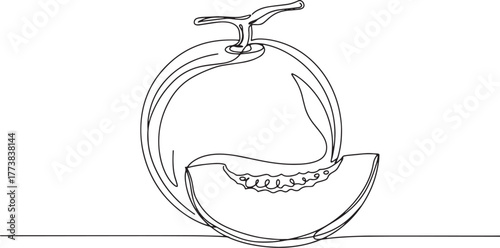Minimalist cantaloupe continuous line drawing presents freshness