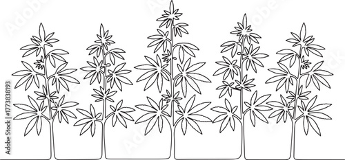 Minimalist line drawing depicting a serene hemp plantation again