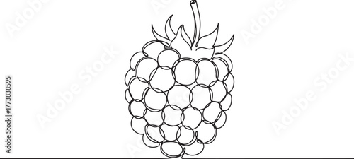 Minimalist continuous line drawing of a fresh blackberry illustr