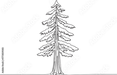 Monoline drawing of a redwood tree against a stark white backgro
