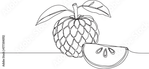 Elegant Sugar Apple Continuous Line Drawing: A Fresh and Modern