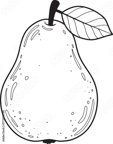 Hand-drawn pear illustration with leaf in simple outline style d