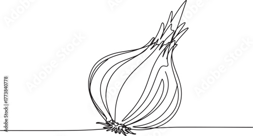 Elegant single line drawing of a shallot, culinary simplicity il