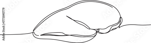 Elegant minimal line art depiction of raw chicken breast fillet