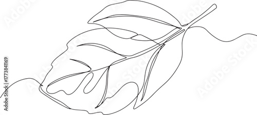 Elegant tangerine leaf outline, minimalistic vector art with con