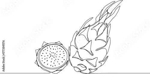 Minimalist line drawing of dragon fruit featuring simple eleganc