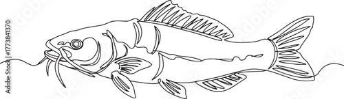 Minimalist Catfish Illustration: A Single Continuous Line Drawin