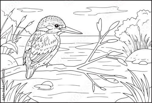 Elegant outline drawing of a kingfisher perched on a branch by t
