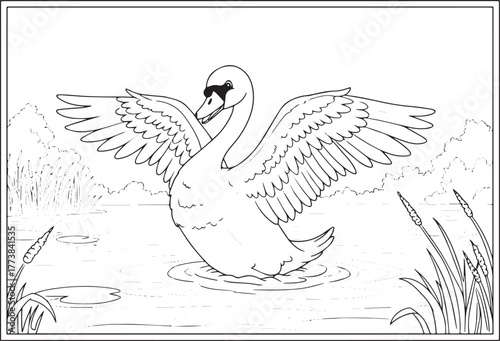 Majestic swan with outstretched wings on the water in a detailed