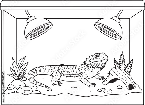 Bearded Dragon Reptile in Terrarium House with Heat Lamps Line D