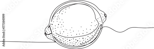 Minimalist one-line drawing of a vibrant lemon, showcasing simpl