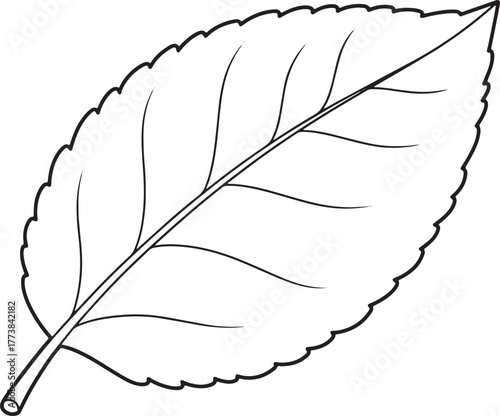 Detailed black and white line drawing of a single leaf with prom