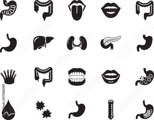 Digestion Anatomy Silhouette icon collection. Includes Silhouette symbols digestion, anatomy, stomach, intestine, liver, pancreas, organ and more. Isolated icons. Anatomy icon set. Minimalist icons 