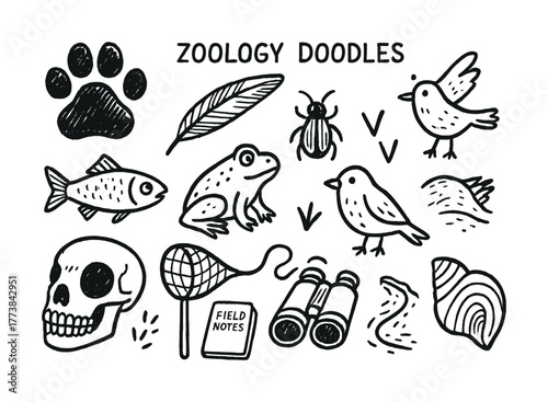 Vector Zoology doodles: animals, birds, insects, amphibians, nature sketches