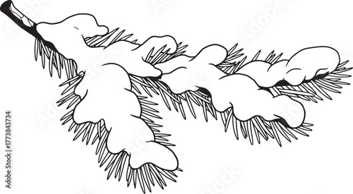 Elegant Snowy Pine Branch Illustration Depicting Winter's Serene