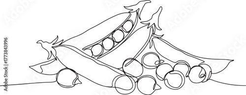 Elegant line art illustration showcasing fresh green peas in pod