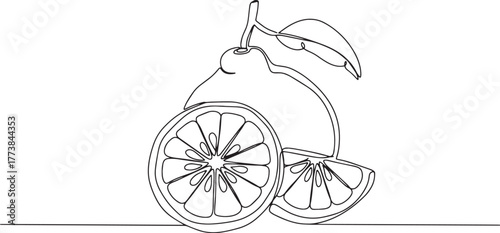 Elegant Bergamot Citrus Fruit Line Art Illustration for Culinary