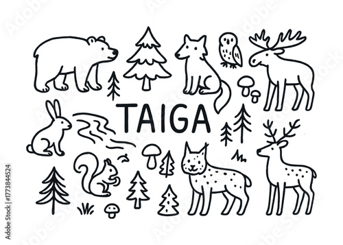 Black and white taiga forest animals with trees and plants
