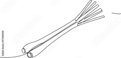 Minimalist line art illustration of fresh lemongrass stalks on w
