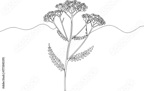 Elegant yarrow sprig line art against a minimalistic wavy horizo