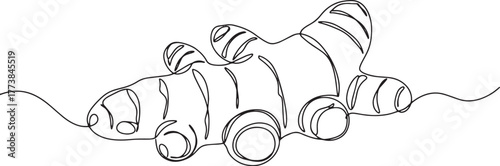 Single line art of a turmeric rhizome, minimalist culinary herb