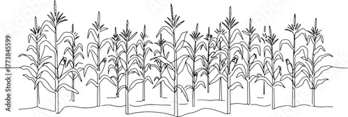 Linear Illustration of a Cornfield: Agricultural Scene in Black