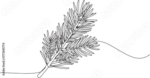 Minimalist continuous line drawing of a fir needle twig for fest