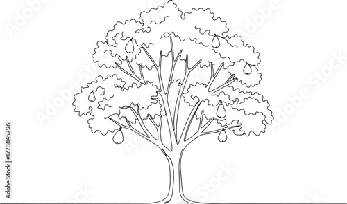Elegant single continuous line drawing of a pear tree with hangi