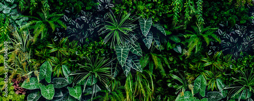 Herb wall, plant wall, natural green wallpaper and background. nature wall. Nature background of green forest