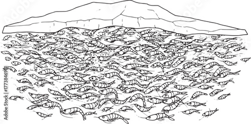 Line art depicting krill swarming under an iceberg in the Antarc