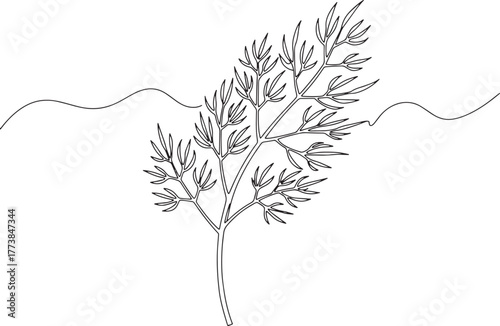 Minimalist dill plant illustration, delicate line art botanical