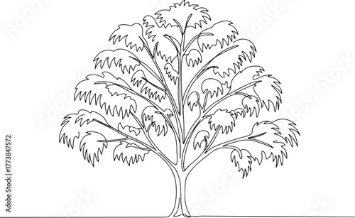 Elegant continuous line drawing of a willow tree, nature art, mi