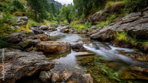 Tranquil Stream Flowing Through Rocky Landscape Surrounded by Lush Greenery and Towering Trees in a Scenic Natural Environment