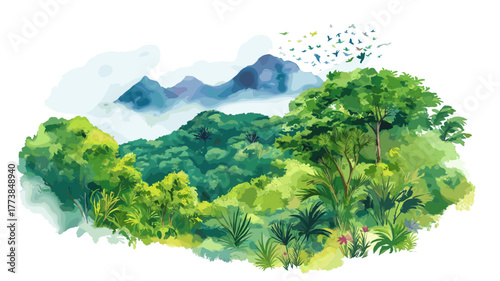 Mindo Cloud Forest. Mindo Cloud Forest hand drawn watercolor illustration