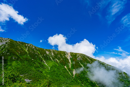 8月の千畳敷カールの風景