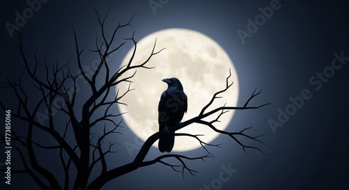 Black Raven Silhouette on Bare Branches Against a Bright Full Moon at Night