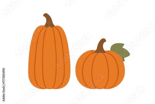 Two stylized orange pumpkins with stems and a leaf for autumn harvest design