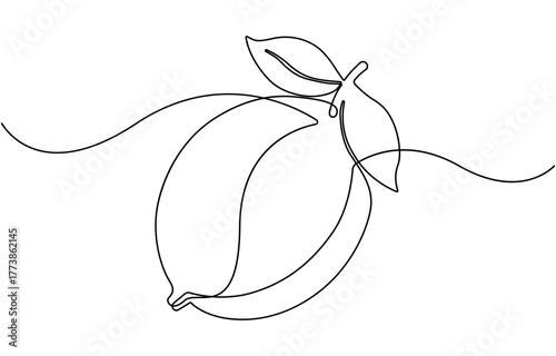 Lemon fruit continuous one line drawing.