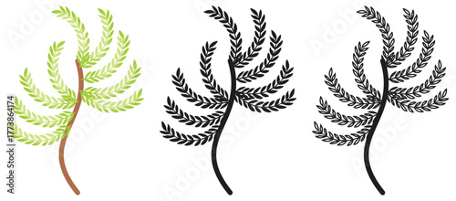 Elegant botanical fern branch illustration.