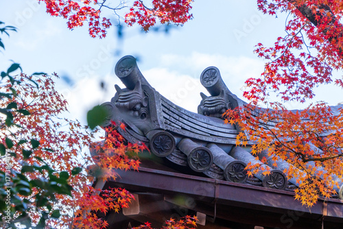 常寂光寺の屋根と紅葉