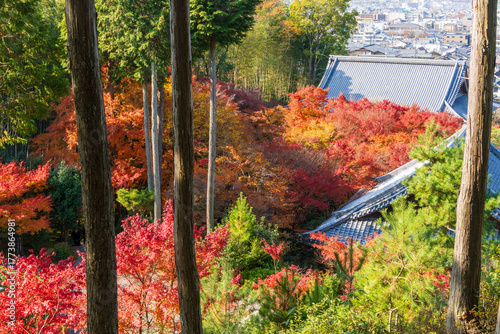 圓光寺の秋景色と京都の街並み