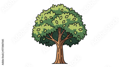 A Detailed Illustration of a Lush Green Tree with a Sturdy Brown Trunk and Full Foliage